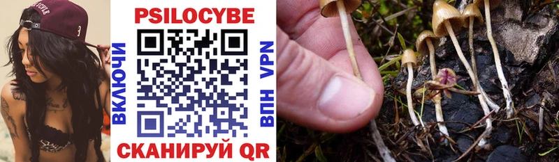 Галлюциногенные грибы GOLDEN TEACHER  где купить наркоту  Питкяранта 